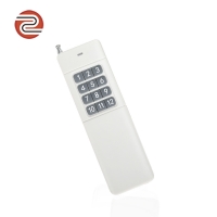 ZY21-12 12键大功率3000米午夜看片福利遥控器