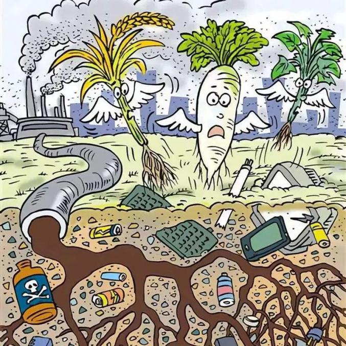 垃圾不分类的危害你了解吗？