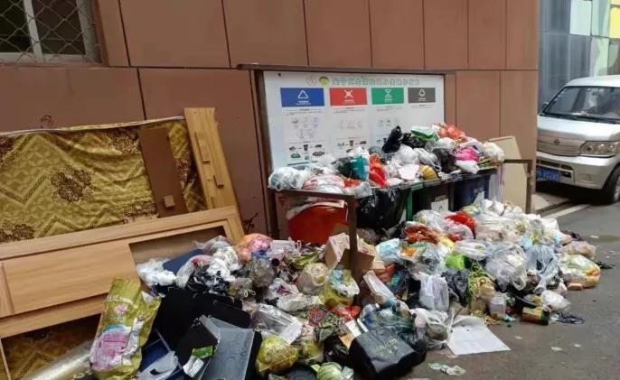 最新调研表明：垃圾分类工作取得实质性成效，但前端分类投放痛点仍普遍存在
