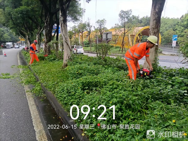 项目动态 | 打造美丽凤城，筑文明城市生态